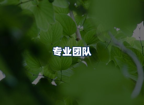 专业团队