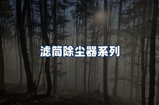 滤筒除尘器展示